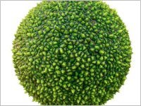 Informationen zu Allergien - Dr. Schätz